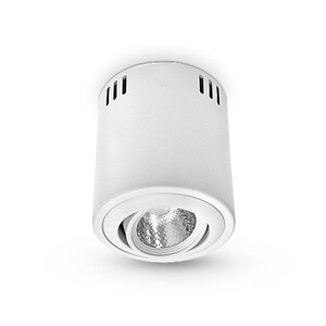 Oprawa sufitowa AVIS, 7W